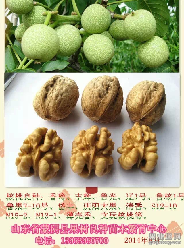 QQ图片20150316140409.jpg