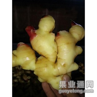 生姜