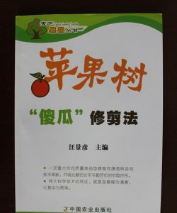 102712dadvdkk5a5djw5a4.jpg