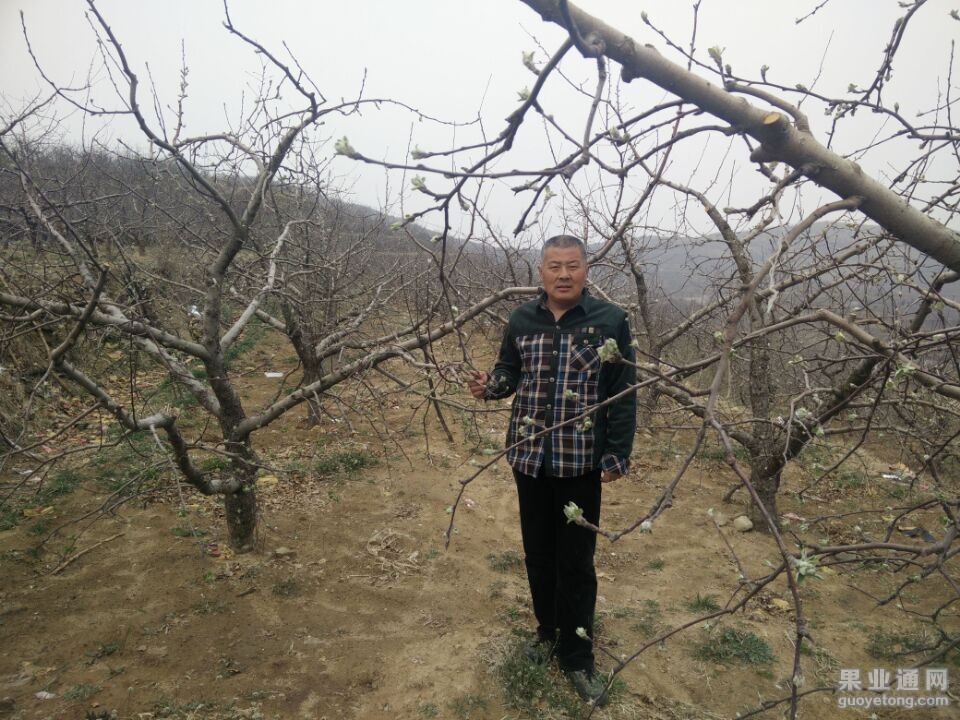 QQ图片20150405204514.jpg