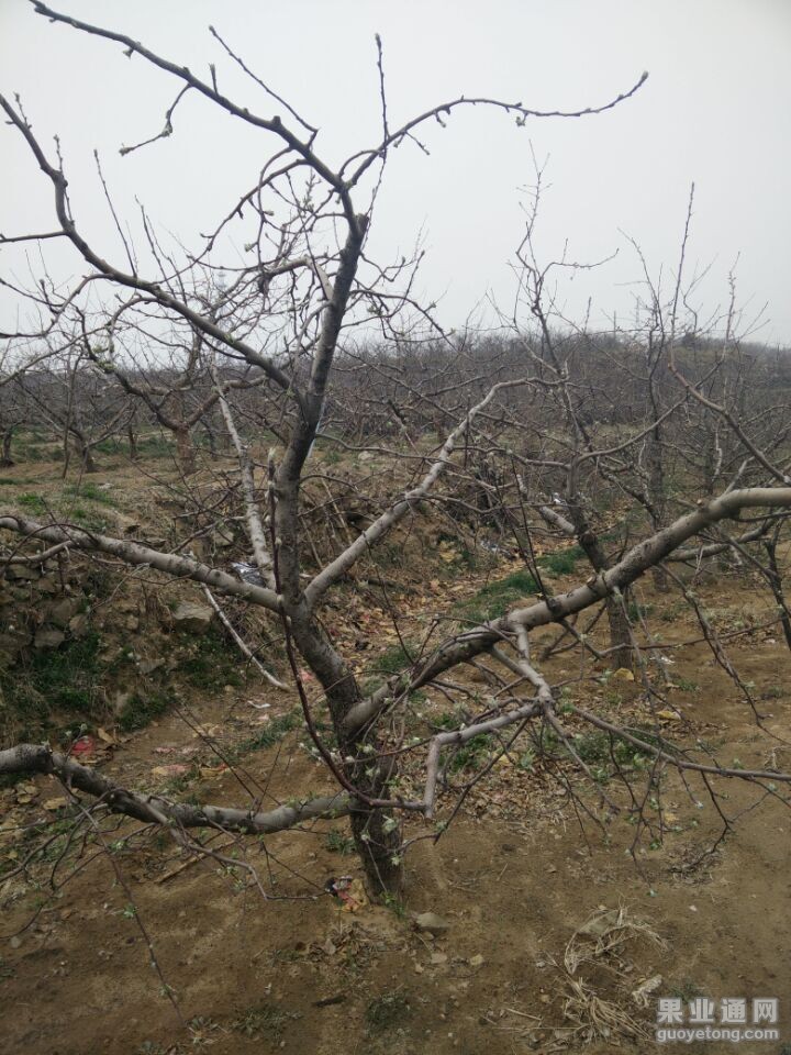 QQ图片20150405204518.jpg