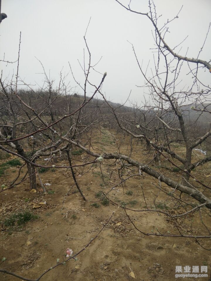 QQ图片20150405204521.jpg