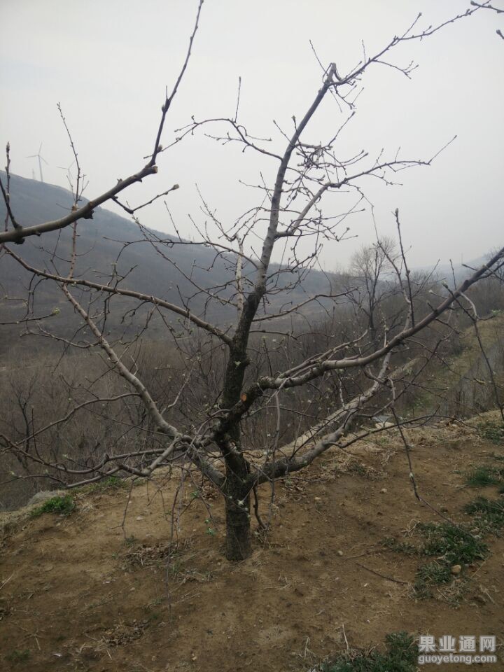 QQ图片20150405204523.jpg