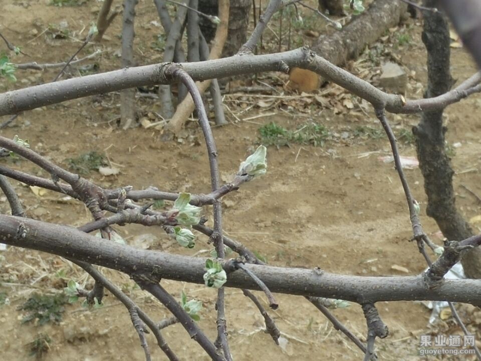 QQ图片20150405204526.jpg