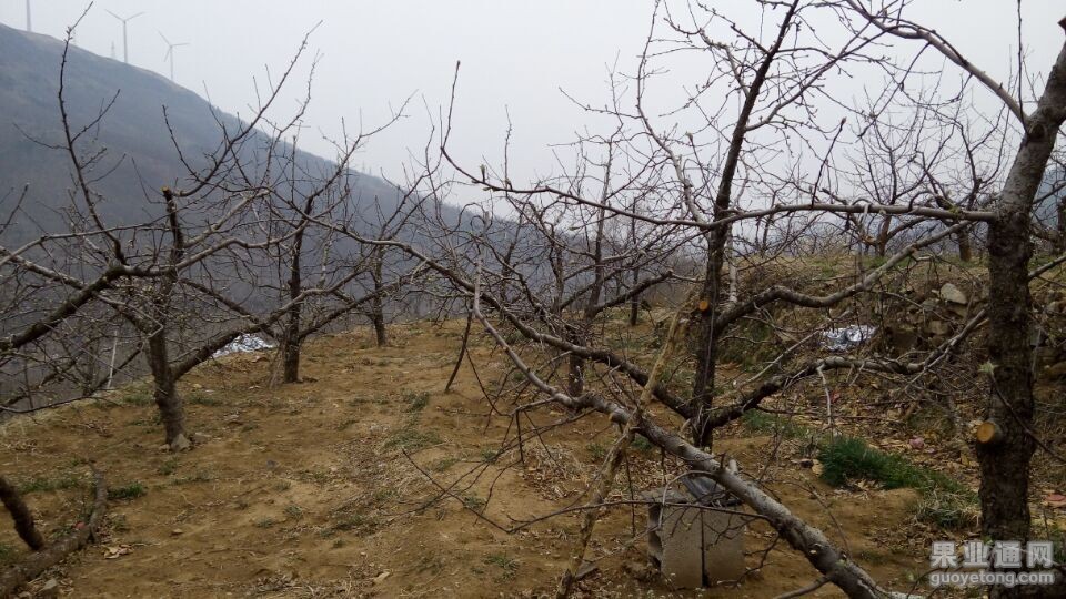 QQ图片20150405204536.jpg