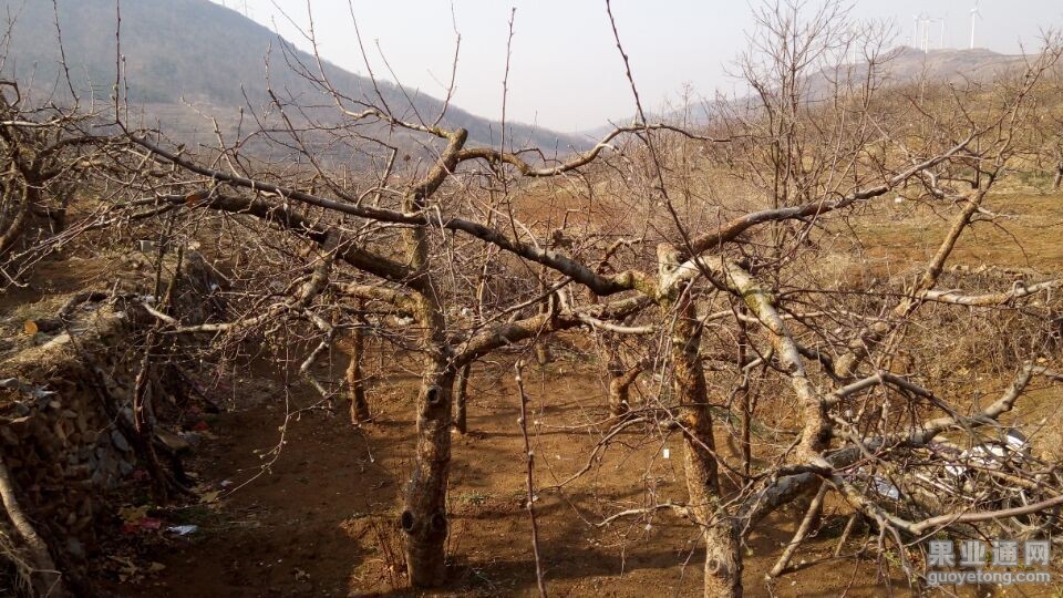 QQ图片20150405204559.jpg