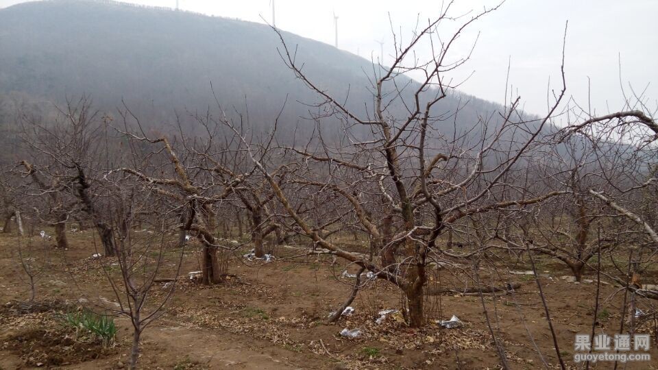 QQ图片20150405204614.jpg