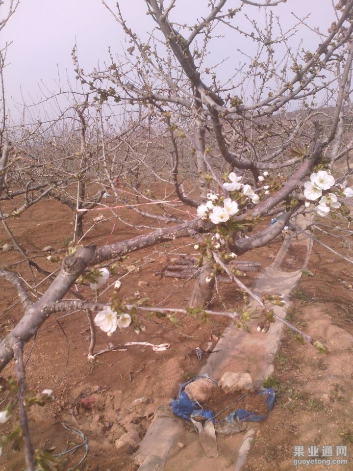 QQ图片20150406084821.jpg