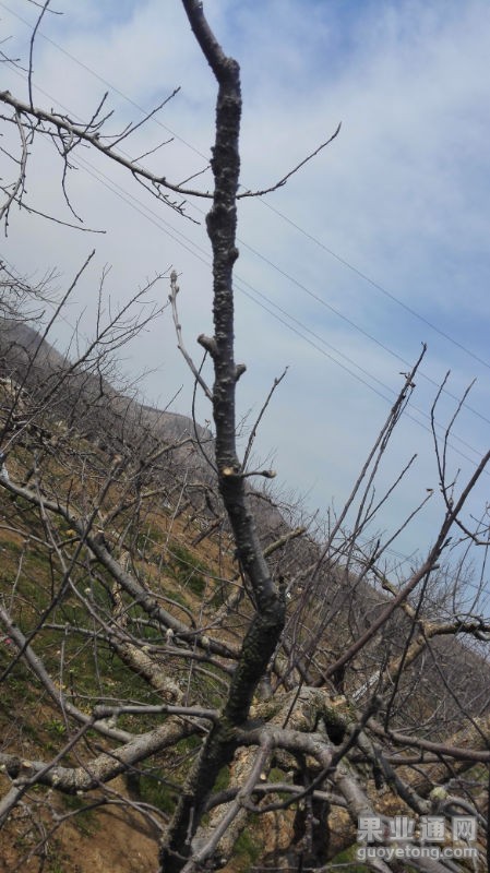 IMG_20150407_092855.jpg