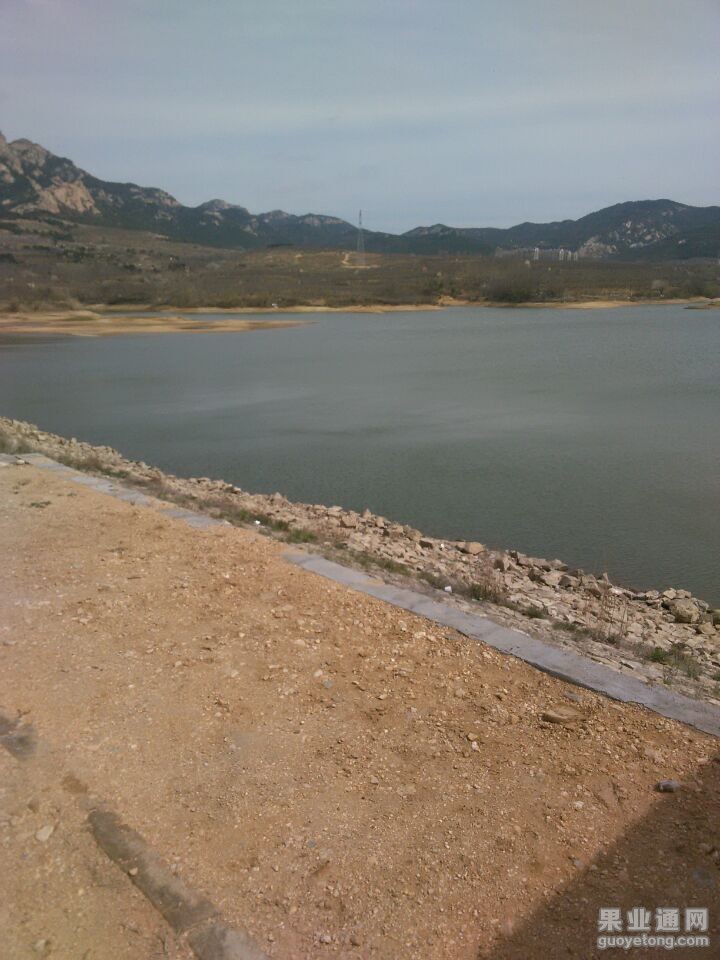 QQ图片20150407185420.jpg