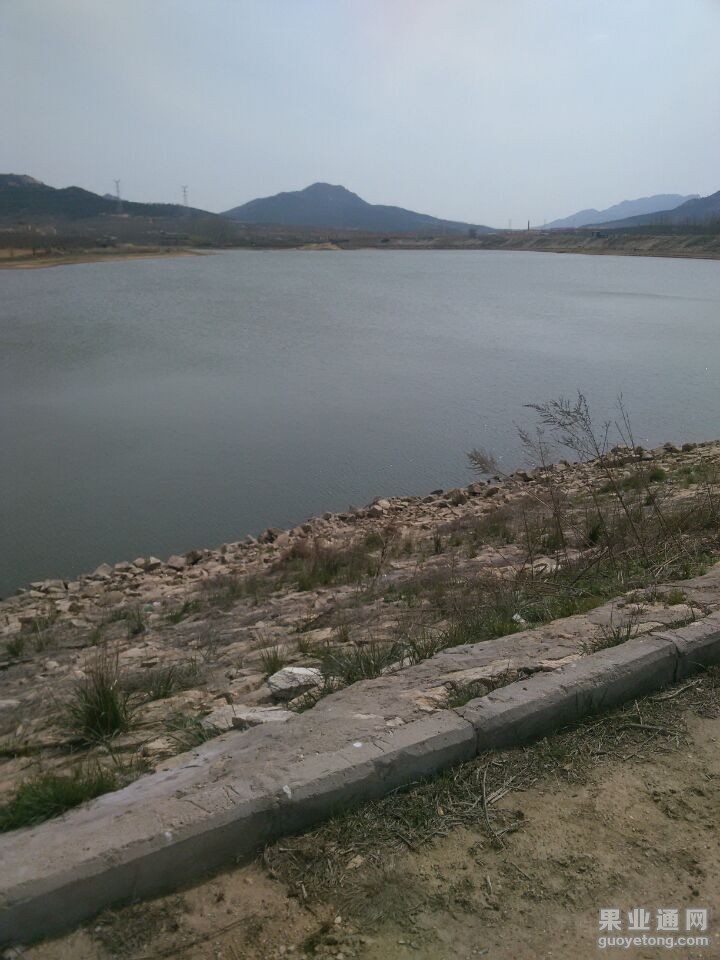 QQ图片20150407185643.jpg
