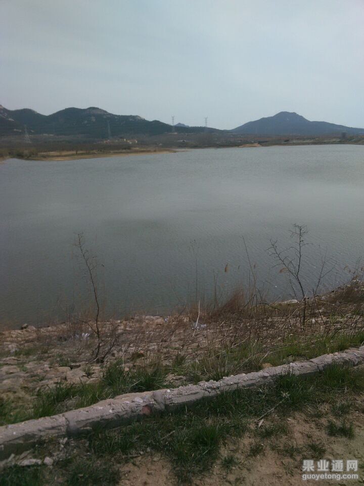 QQ图片20150407185704.jpg