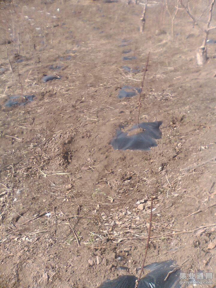 QQ图片20150407211515.jpg