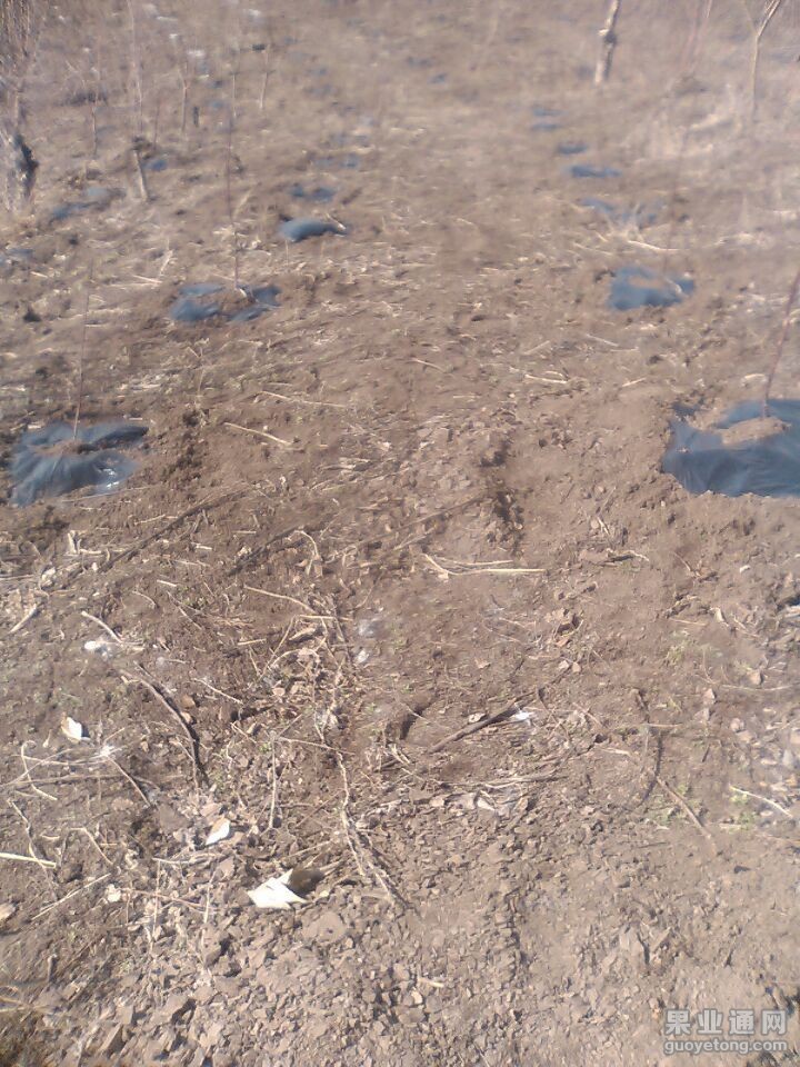 QQ图片20150407211537.jpg