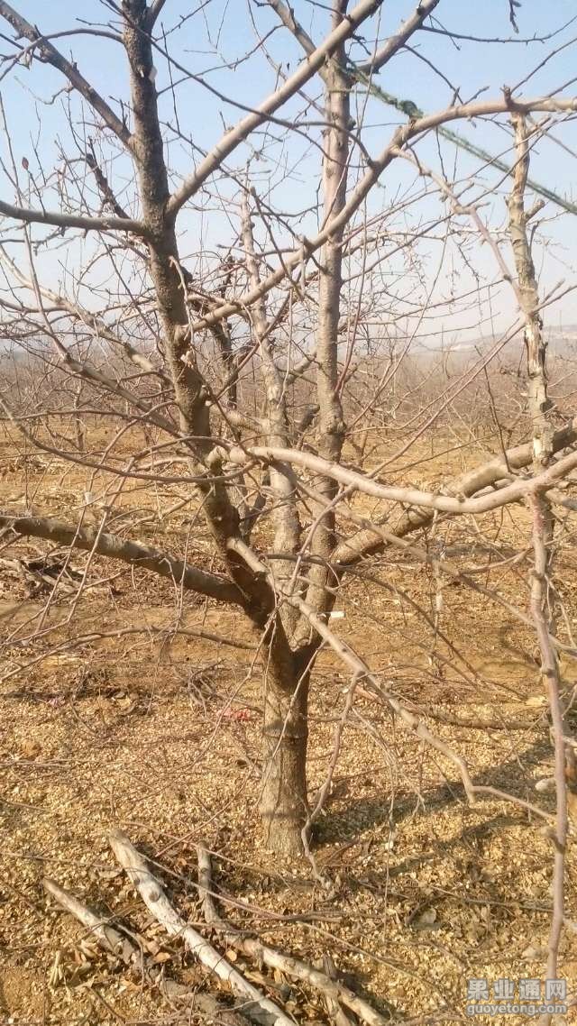 20150407205440_5523d390d486f.jpg
