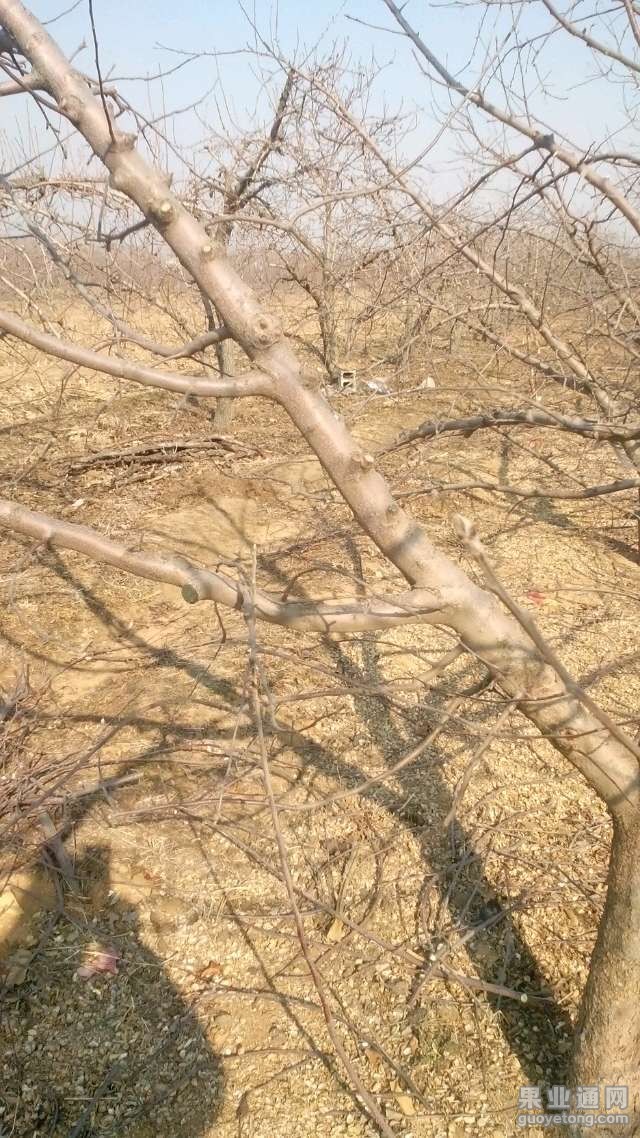 20150407205437_5523d38d02702.jpg