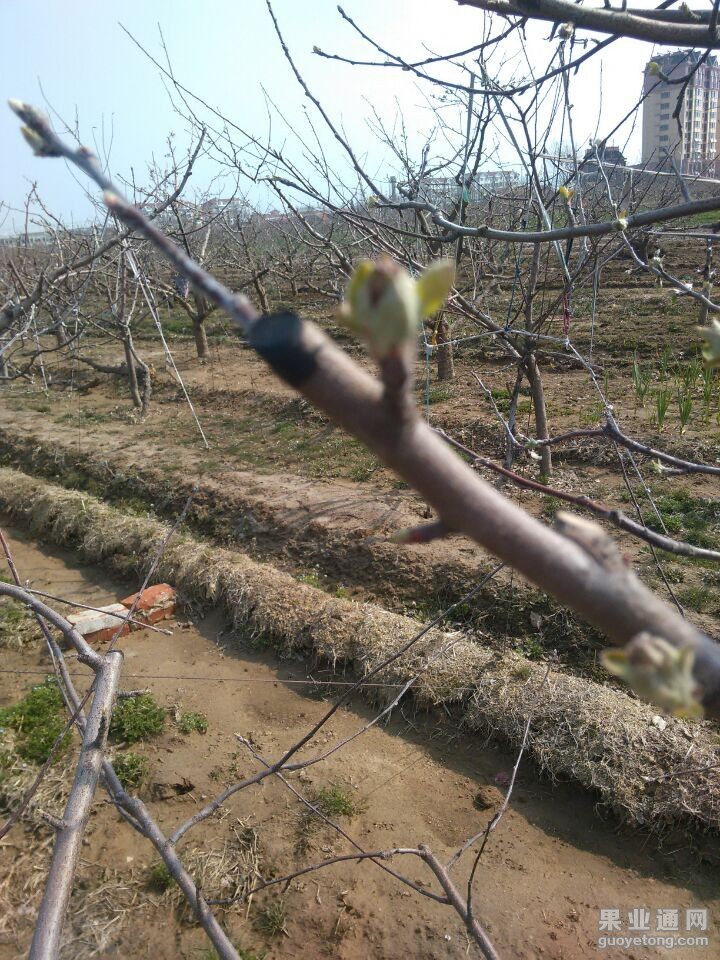 QQ图片20150410102553.jpg