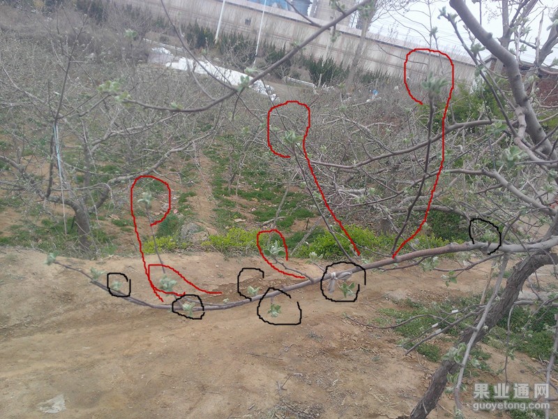 IMG20150412001_副本.jpg