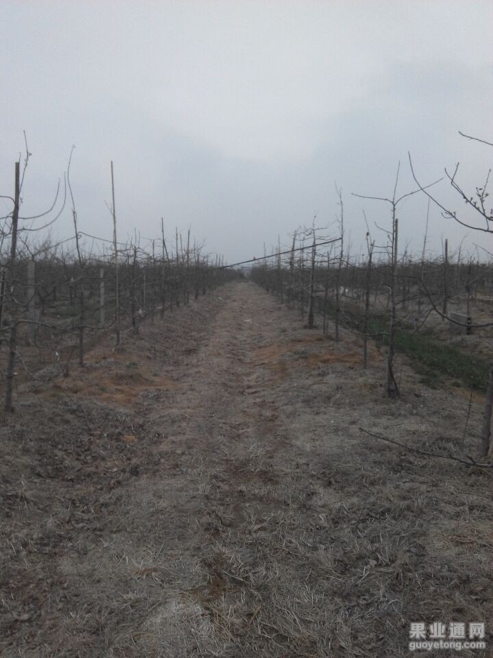 QQ图片20150416150727.jpg