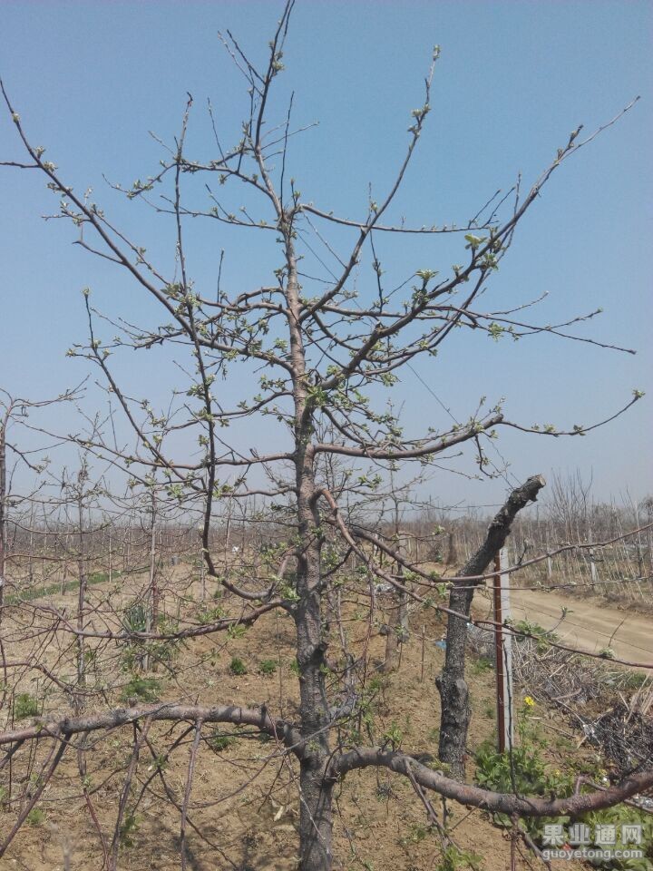 QQ图片20150416150730.jpg