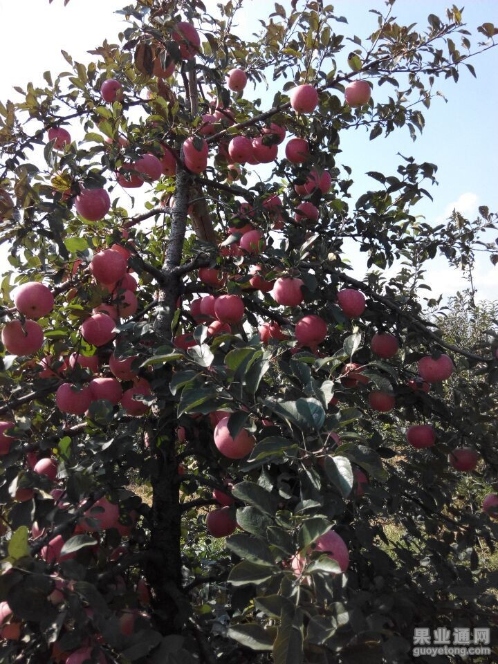 QQ图片20150416150754.jpg