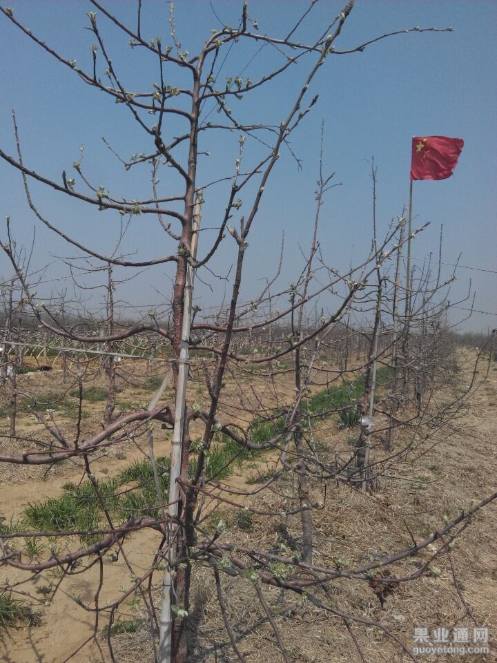 QQ图片20150416150805.jpg