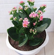 0 (13).jpg