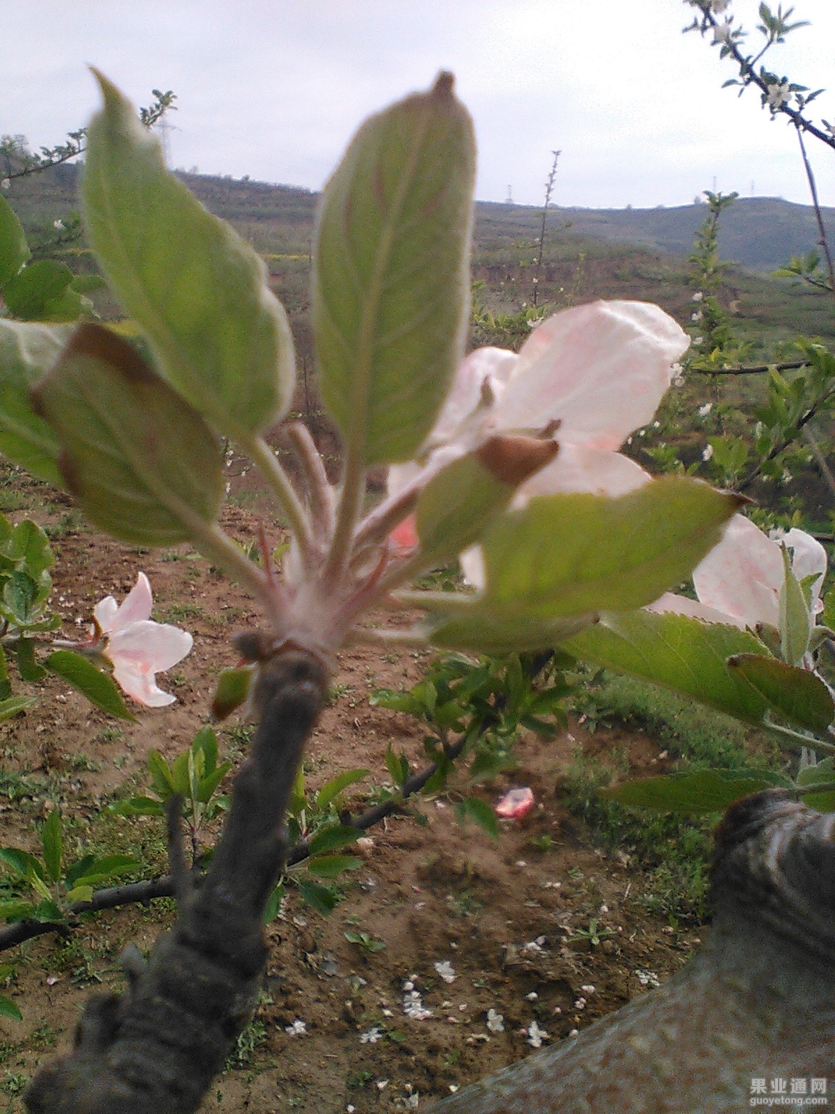 IMG_20150422_094151.jpg