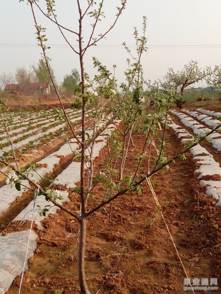 QQ图片20150425203240.jpg