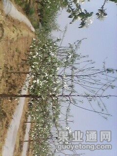 QQ图片20150426125951.jpg