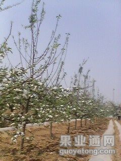 QQ图片20150426130017.jpg