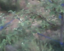 IMG0028A.jpg
