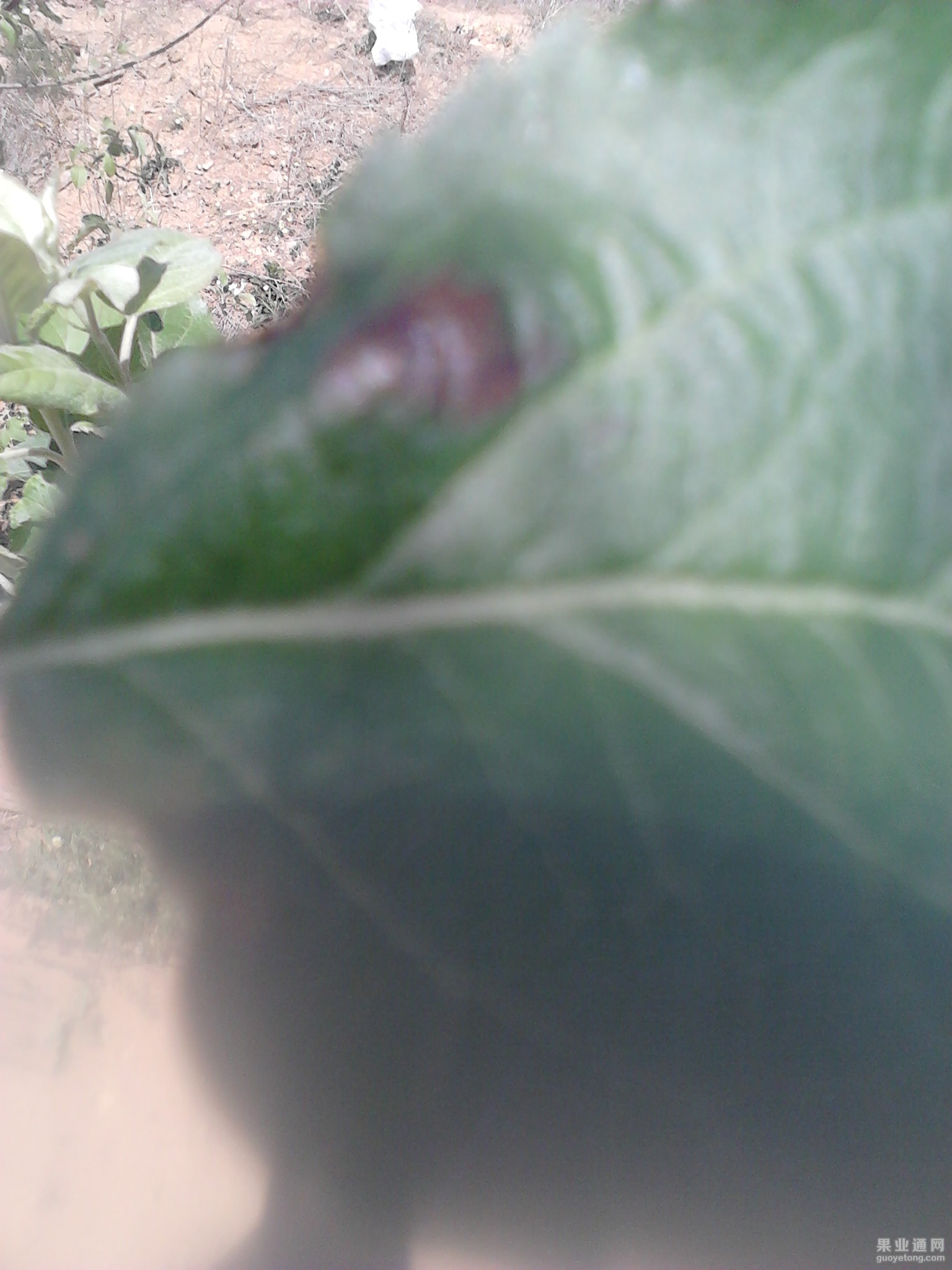 IMG128.jpg