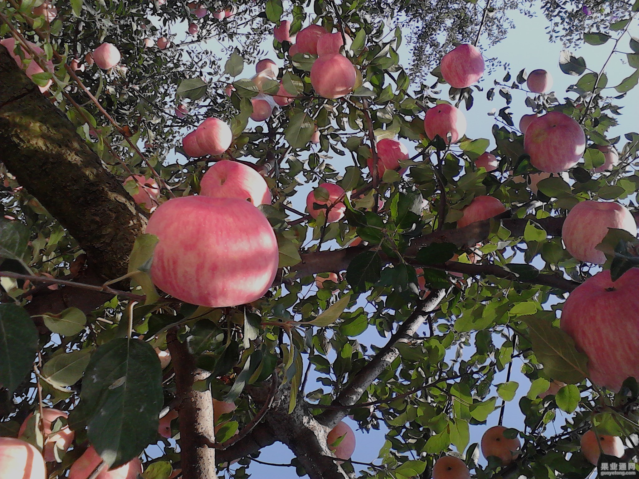 IMG587.jpg