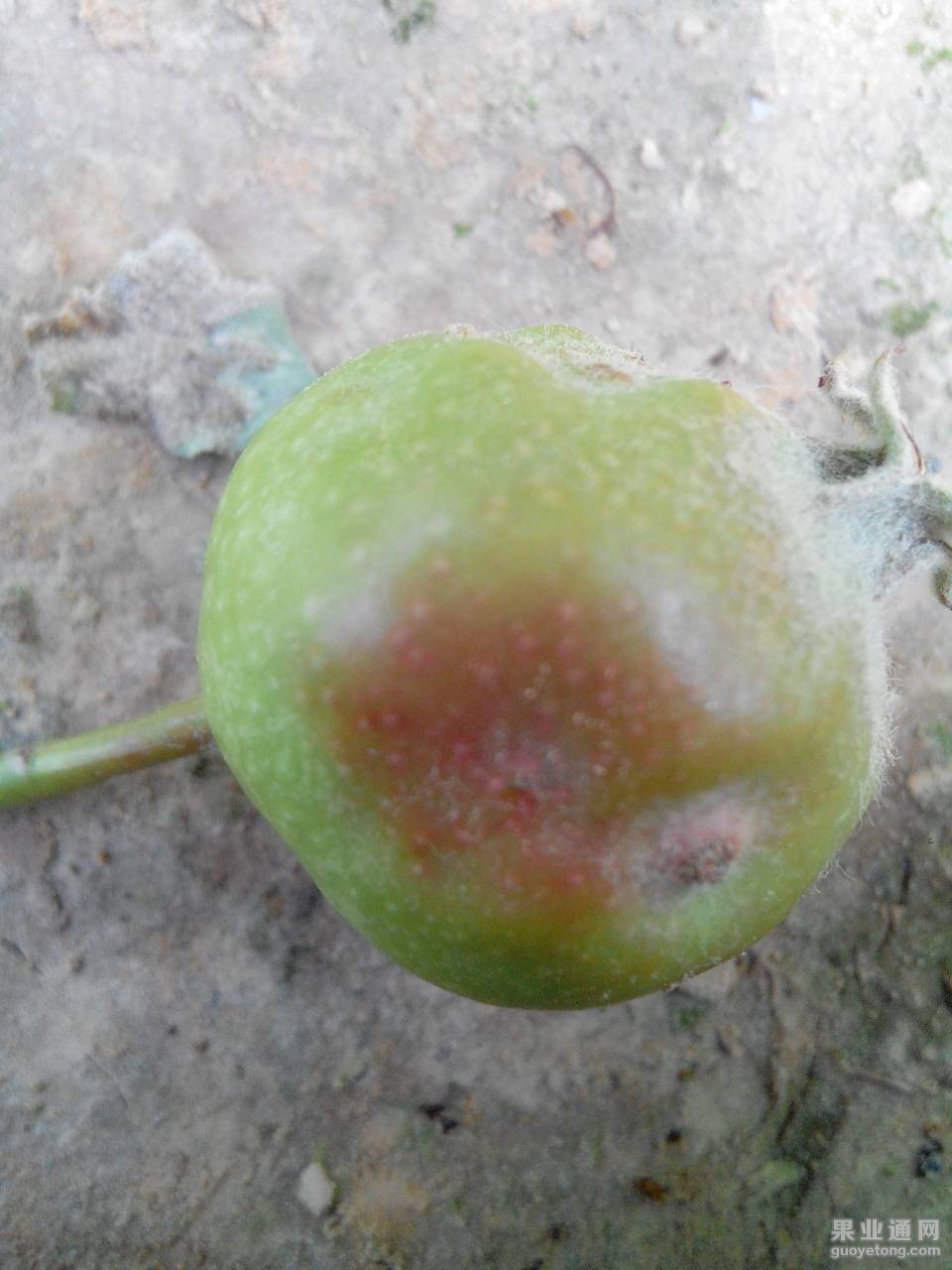 125422cb2x7w7b774zc027.jpg