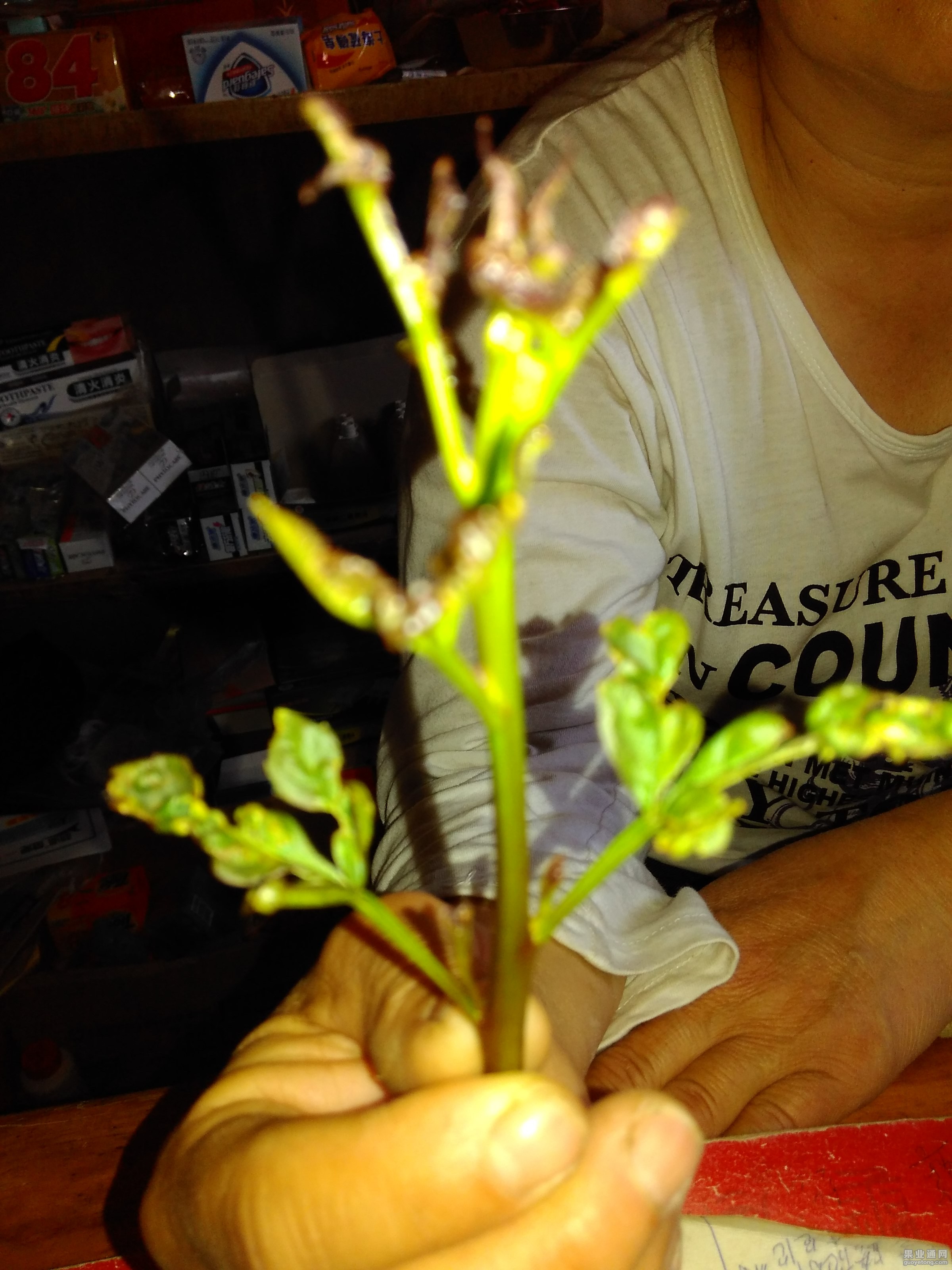 IMG_20150517_150234.jpg