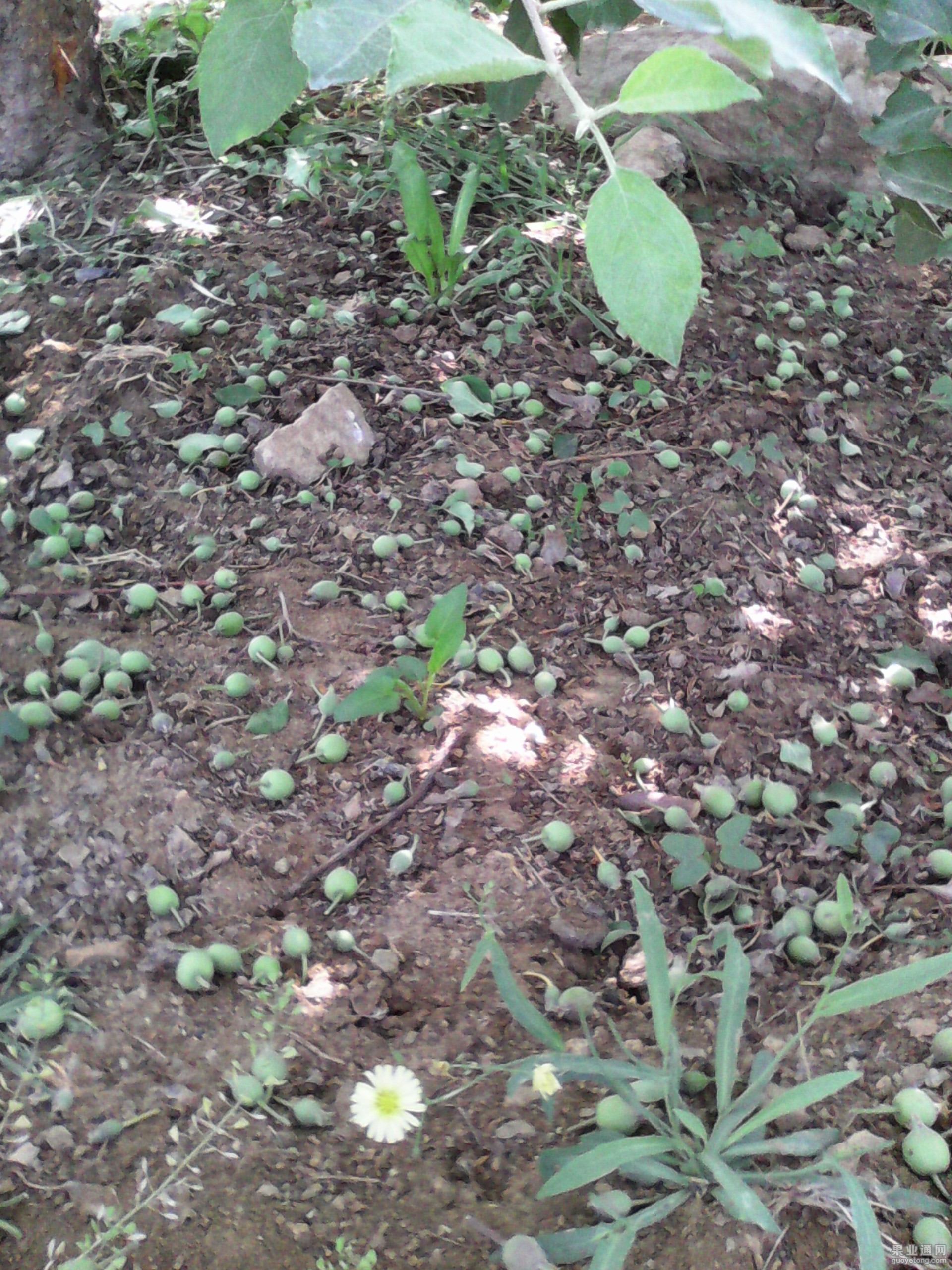 IMG_20130602_105302.jpg