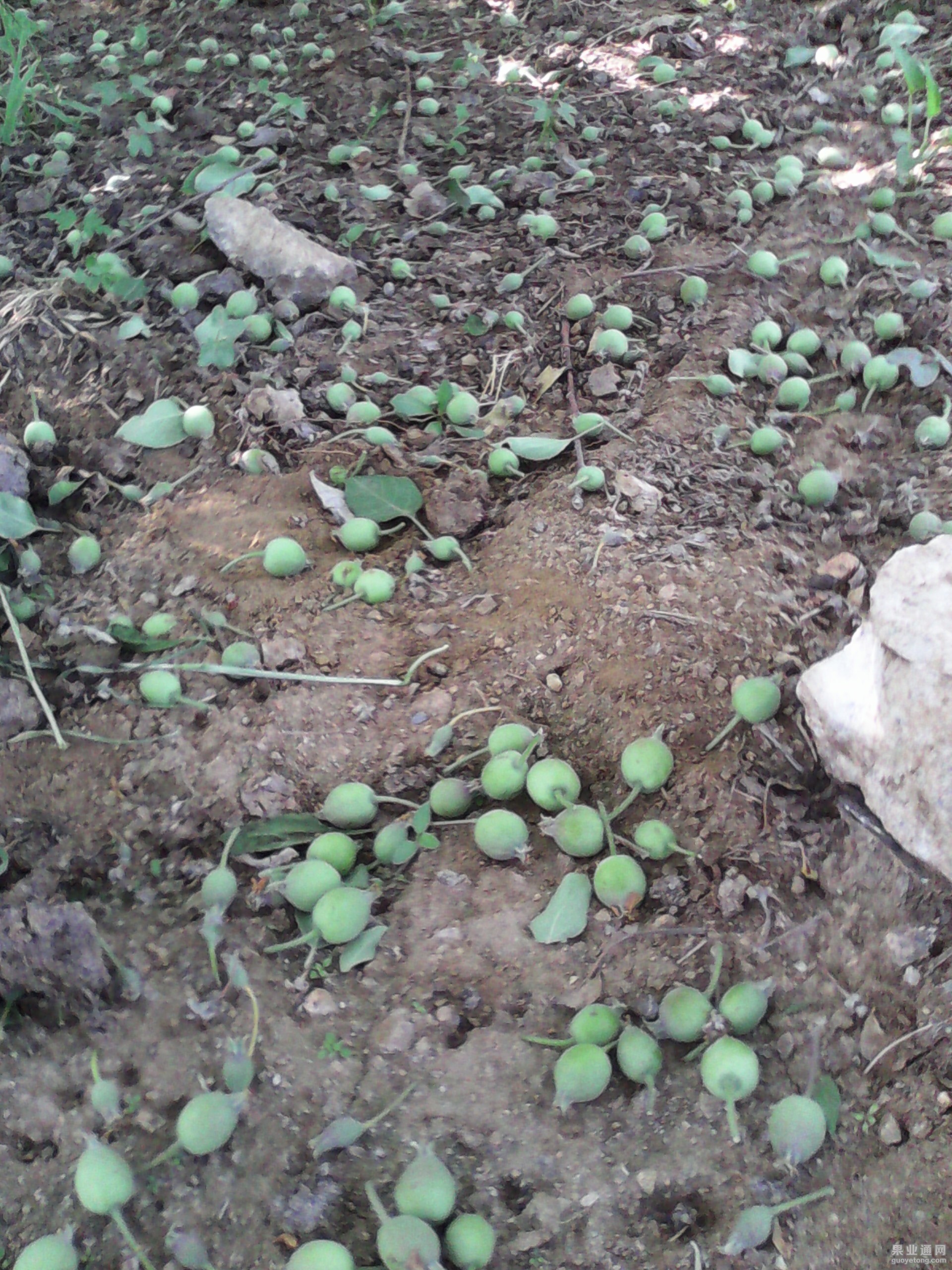 IMG_20130602_105344.jpg