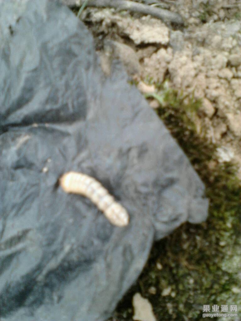 073308il8aqbytp4qp9z6b.jpg