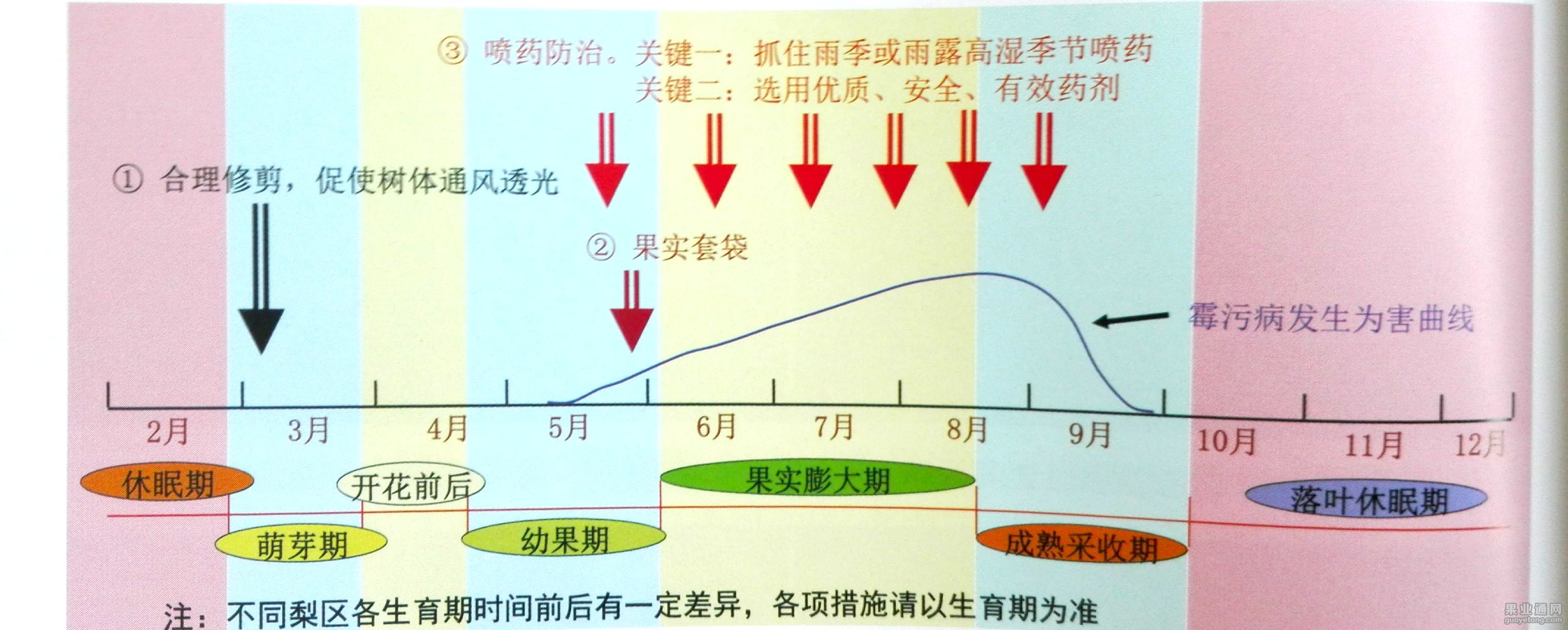 新文档_1(19).jpg