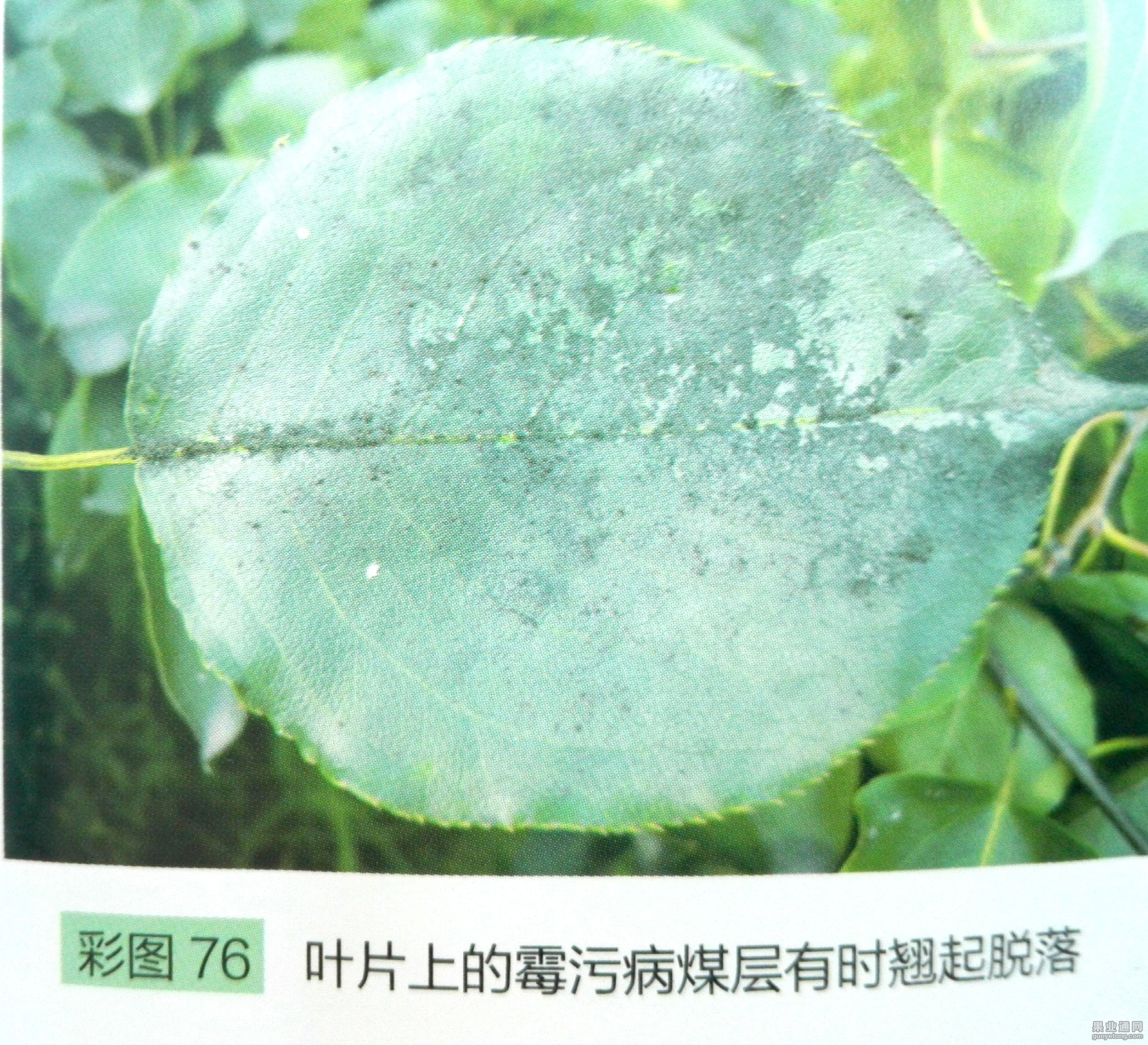 新文档 2_1.jpg