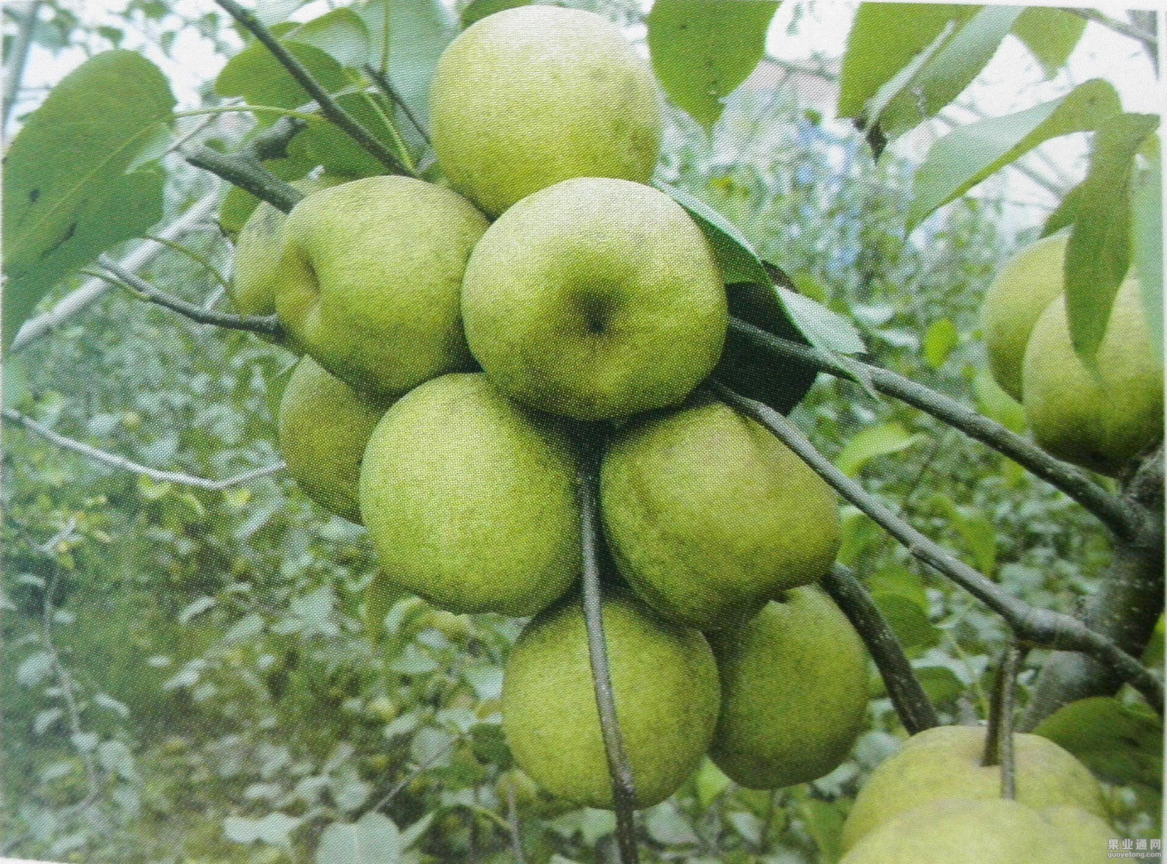 新文档_1(17).jpg