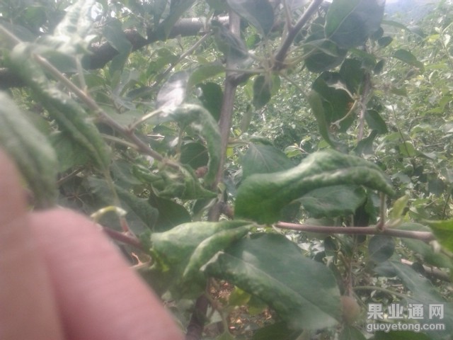 2015-05-21 10.59.07.jpg
