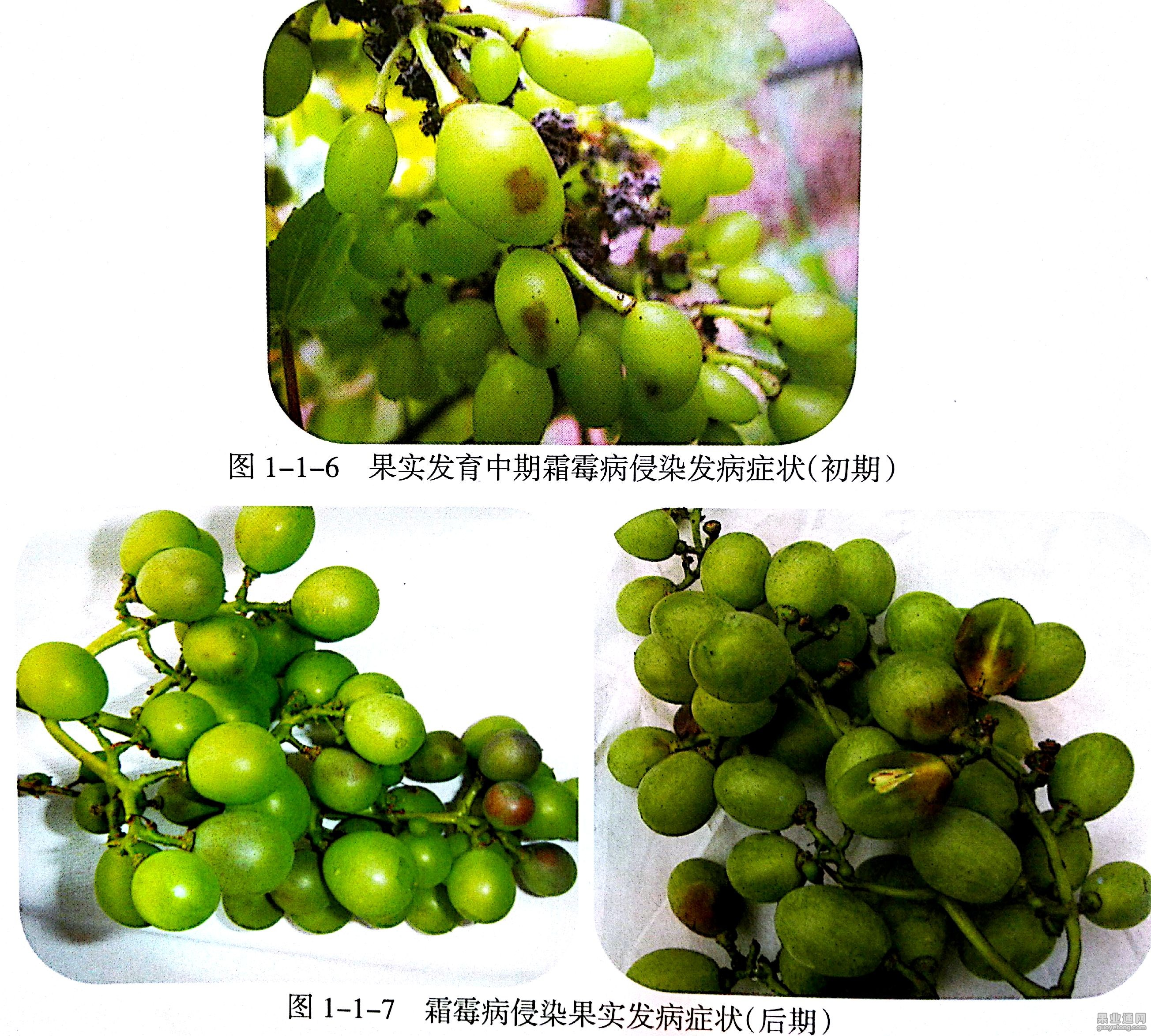 新文档_1(29).jpg
