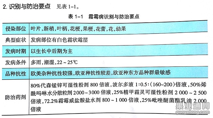 新文档_1(24).jpg