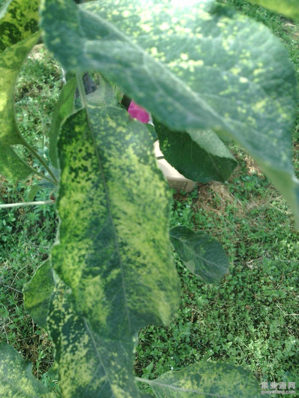 220613dwpl3jpglnnqqwwz.jpg
