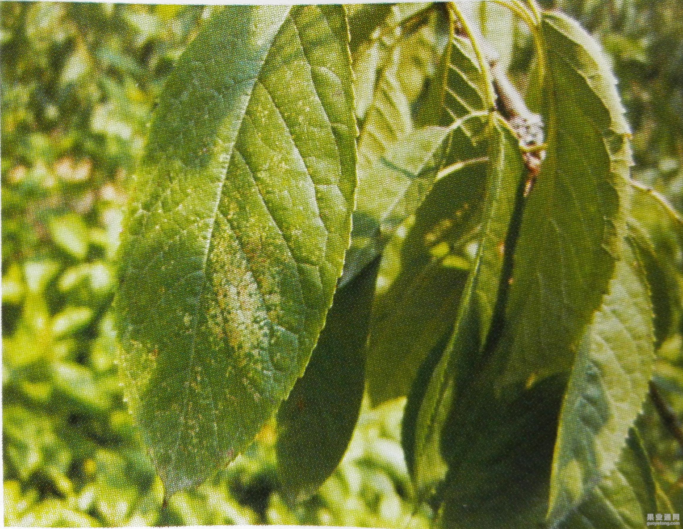 新文档 1_1(10).jpg