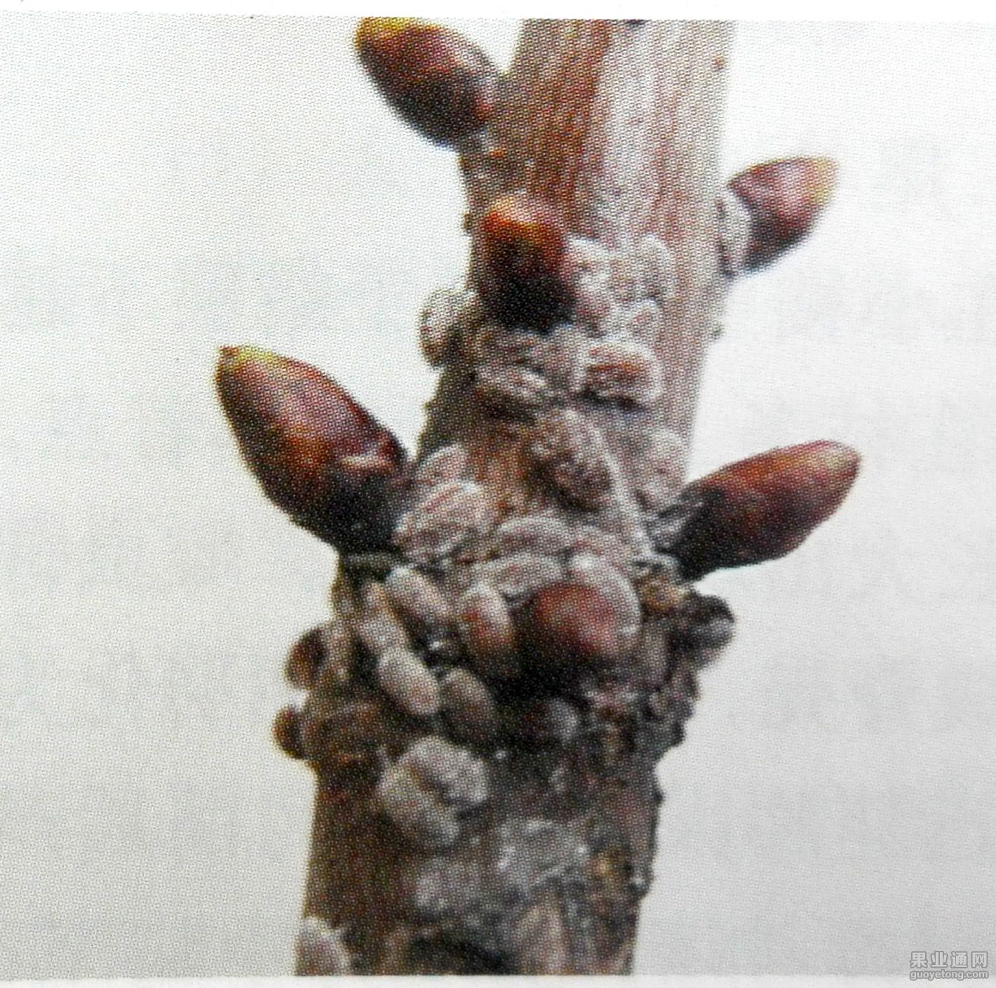 新文档_1(36).jpg