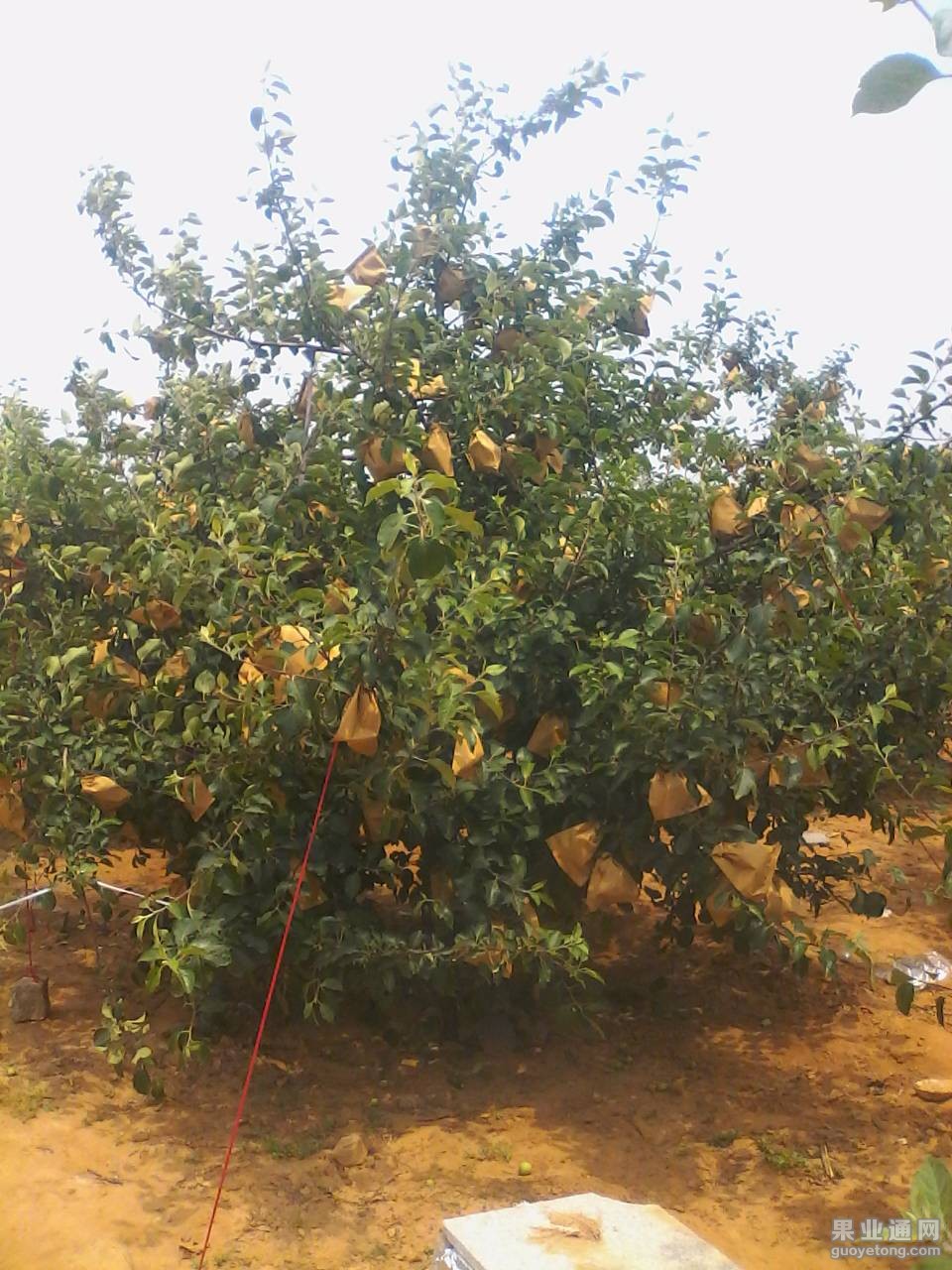 120124qcw7gcd7hckcct75.jpg