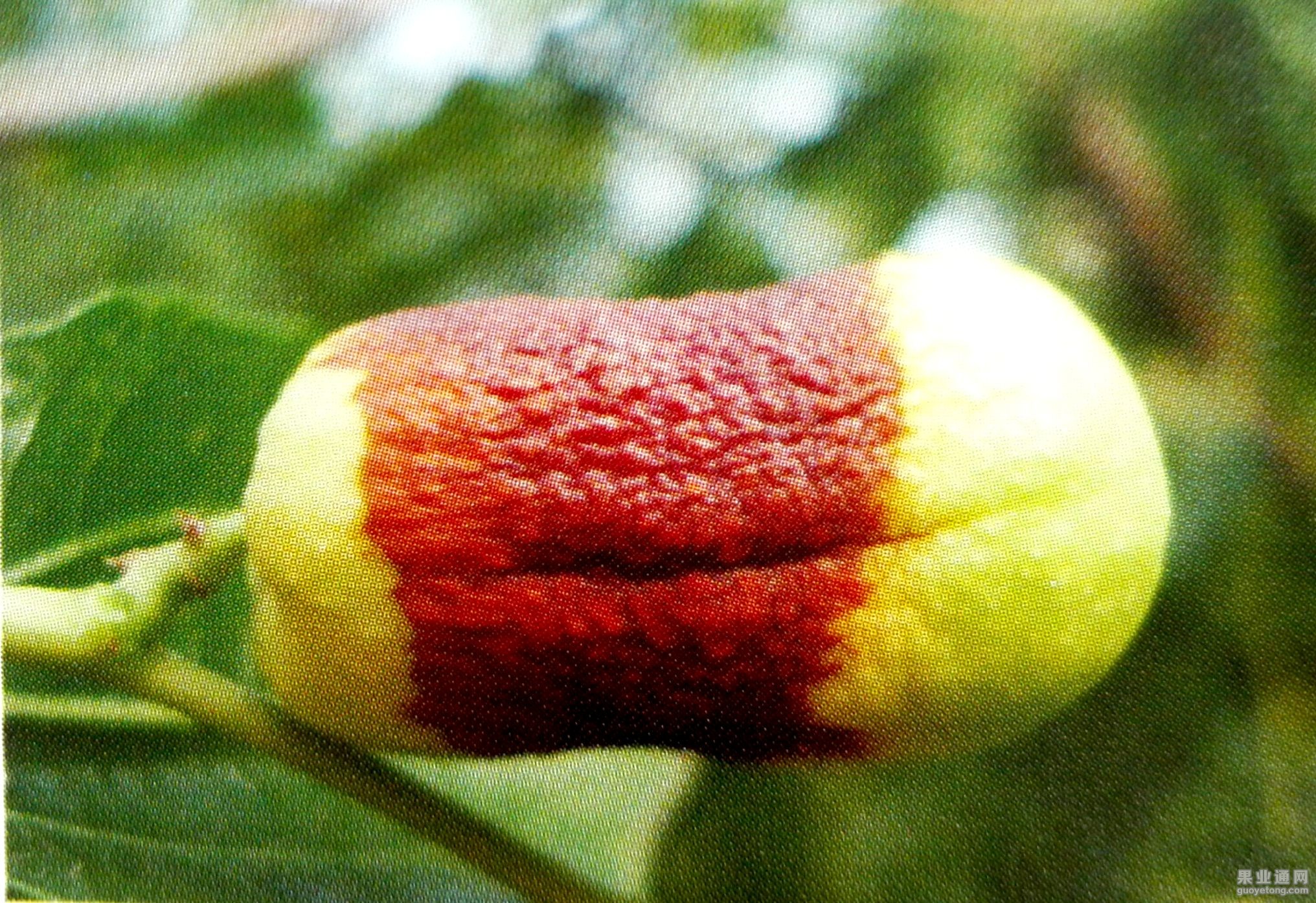 新文档 1_1(14).jpg